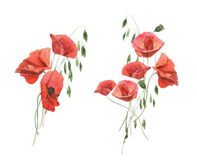 Watercolor hand drawn bouquet of poppies and herbs.