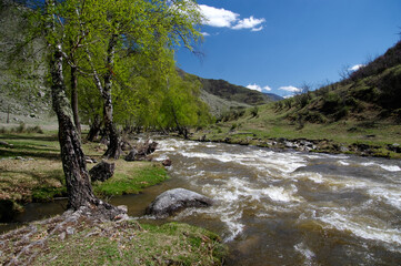 Mountain river stream among green hills