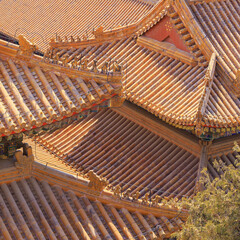 Fototapeta na wymiar Golden Chinese Roofs