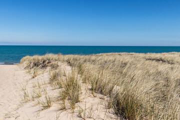 Beautiful scene of sand dunes covered with beach grass overlooking Lake Michigan with blue water and blue skies. Clouds in the distance have a faint pink hue.