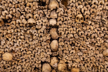 Skulls and Bones - Scary Skulls and Bones in the Catacombs of Paris