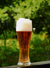 Glass of foam beer amber color with air bubbles