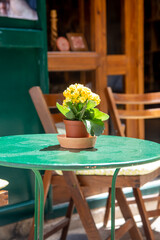 Fototapeta na wymiar Flowers in pot on the tables of street cafes