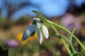 Obraz premium #natur