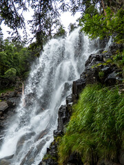 Una cascada desciende entre la exuberante vegetación del Parque Nacional de Aigües Tortes, en la vertiente española de los Pirineos