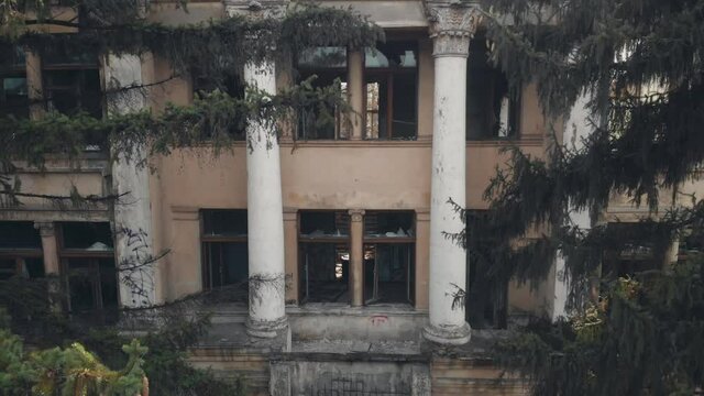 High fir trees near decorated with columns beige facade of old abandoned building without roof on spring day aerial view