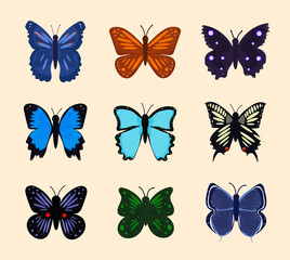 Fototapeta na wymiar Insects multicolored bright beautiful butterflies