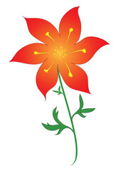 Illustration of a red flower on a stem with leaves and pistils. Colorful blooming spring and summer flower in vector and jpg format.