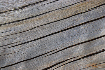 wood tree timber background texture structure backdrop