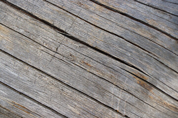 Obraz premium wood tree timber background texture structure backdrop