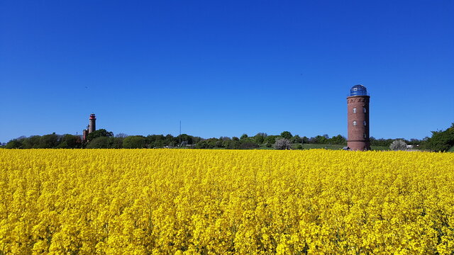 yellow rapeseed field with lighthouse