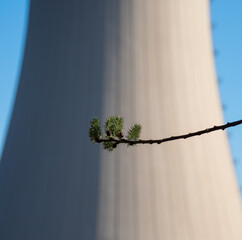 Willow catkins branch against a nuclear power plant