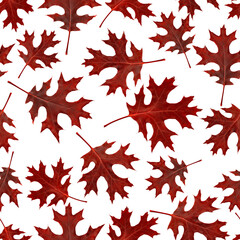 Maple leaves seamless pattern. Red on white background.