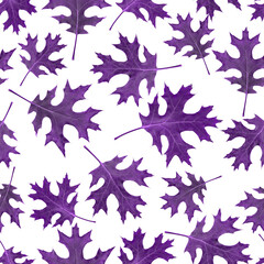 Maple leaves seamless pattern. Lilac on white background.