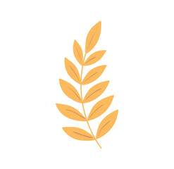 branch leaves nature