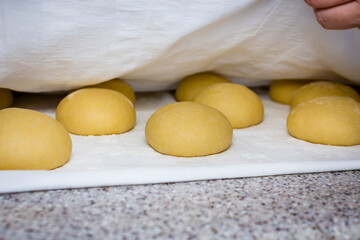 A dounut dough is carefully covered by soft cloth to keep warm before frying.
