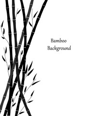 Bamboo background. Minimal design with bamboo stems and leaves. Monochrome floral drawing. Black drawing on a white background. Vector illustration. Cover template, ad, flyer, greeting card
