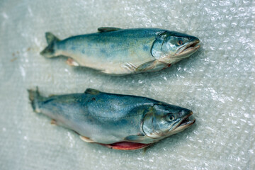 Two dead fish on plastic wrap. A fish dish.