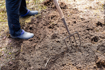 Work in a garden,Digging Spring Soil With Spading fork Close up of digging spring soil with blue shovel preparing it for new sowing season.Pitchfork stuck in the ground.