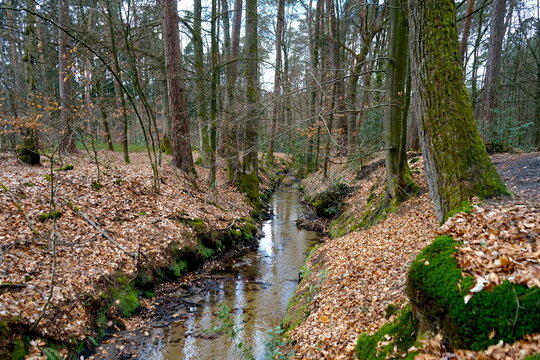 Rodenbach im Holter Wald, Liemke, Schlo&szlig; Holte-Stukenbrock, Kreis G&uuml;tersloh, Ostwestfalen-Lippe