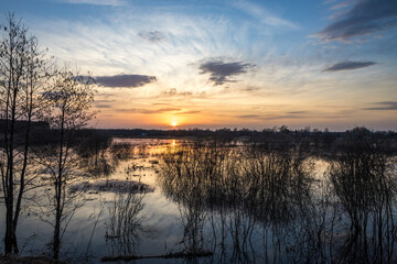 The river overflowed its banks. Flooded land and bushes. The setting sun is reflected in the water. Evening landscape with a river and branches in the foreground.