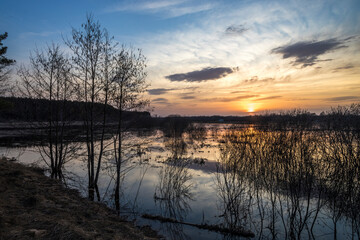 The river overflowed its banks. Flooded land and bushes. The setting sun is reflected in the water. Evening landscape with a river and branches in the foreground.