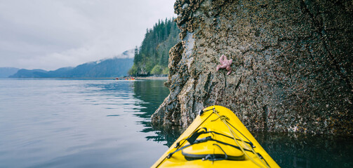 Kayak and starfish