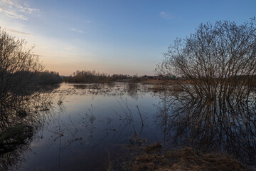 The river overflowed its banks. Flooded land and bushes. A village on the horizon near the river.