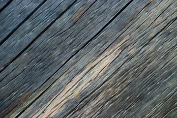 wood tree timber background texture structure backdrop