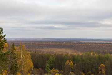 Fototapeta premium The famous swamp, where Ivan Susanin led the polish army who wanted to destroy the Russian Tsar Mikhail Romanov. Legend says that Susanin was killed by polish soldiers in that swamp.