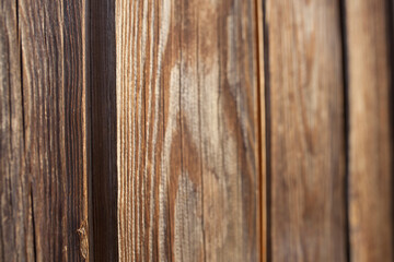 Tongue and groove pine wood wall