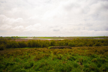 Horizontal image of a field against a white sky