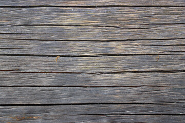 Fototapeta premium wood tree timber background texture structure backdrop