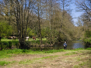 p&ecirc;cheur au bord d'une rivi&egrave;re en face d'un paturage