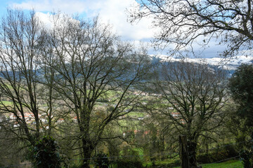 Sopuerta valley between trees