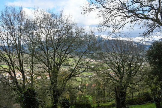 Sopuerta valley between trees