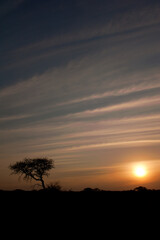 Sunset in the Kalahari, South Africa