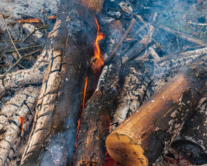 Bonfire burns in the forest