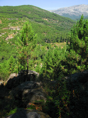 SENDERISMO VALLE DEL TIETAR 2008