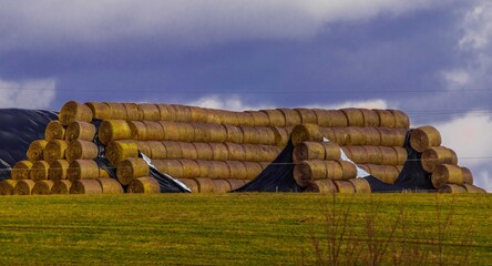 Heap sheaves © Piotr