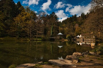 Fototapeta premium Waldsee freiburg