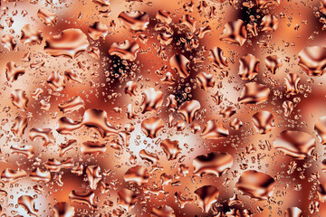 Neon lights behind water drops close up