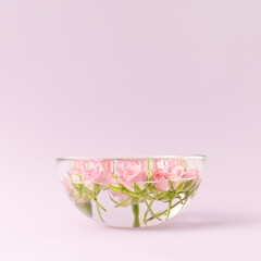 Spring concept made with floating pink roses in aromatherapy bowl with water. Minimal concept. Pastel pink background.