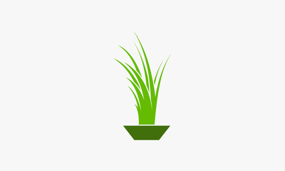 potted grass graphic logo design. lawn care vector illustration.