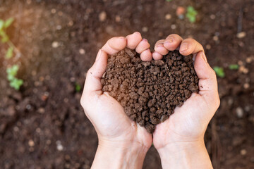 Pair of hands holding soil in heart shape