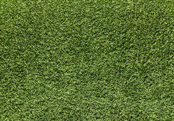 Obraz premium Nature concept - fresh green grass texture for background