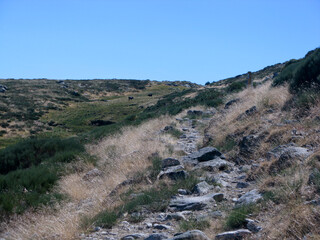 RUTA SENDERISMO EL TOROZO PUERTO DEL PICO AVILA