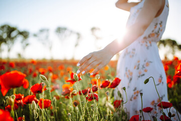 Closeup of a young woman touching the red poppy flowers on the field. Girl wearing white dress...