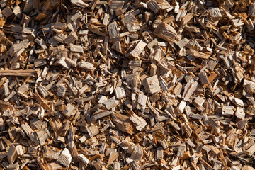 Sawdust or wood dust texture background. Oblong sawdust after woodworking. Wood background