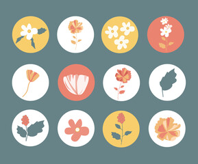 Floral icons collection for social media design. Round flower sticker set. Trendy isolated vector illustrations. Modern floral stickers for web, app and brand design.